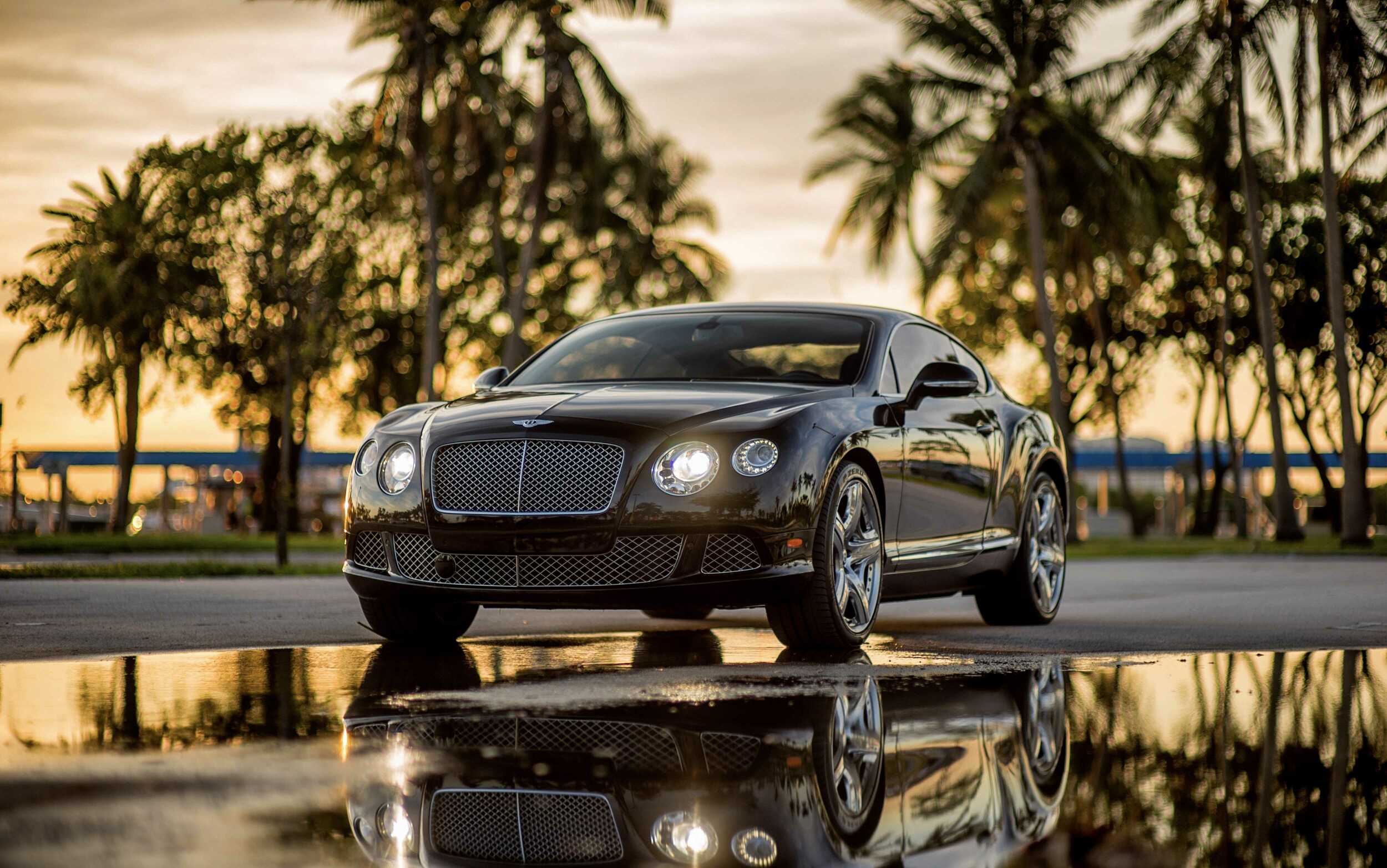 Ft Lauderdale Luxury Car Rental - Pugachev Luxury Car Rental